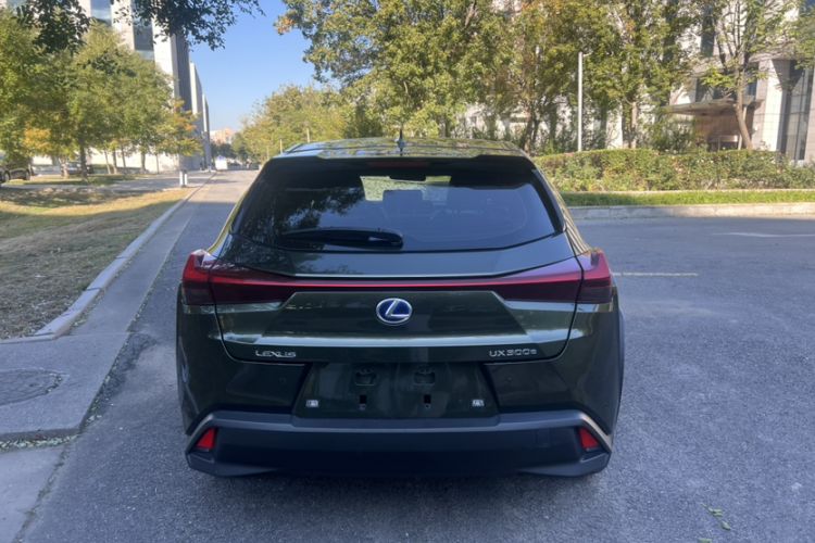 Used Lexus UX New Energy 2020 300e Pure·Joy Edition Exterior 4
