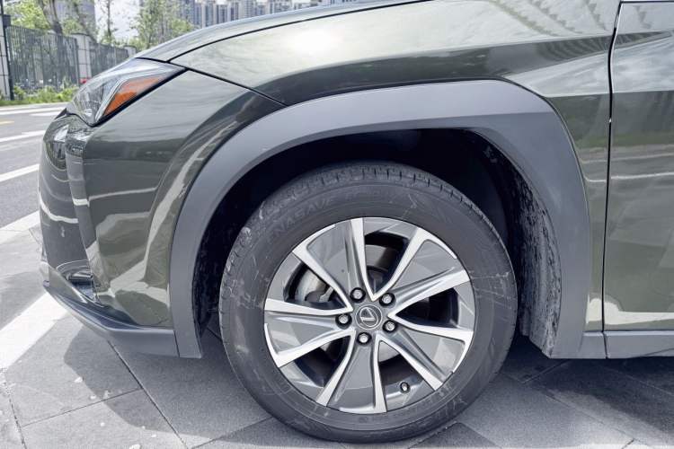 Used Lexus UX New Energy 2020 300e Pure·Joy Edition Exterior 6