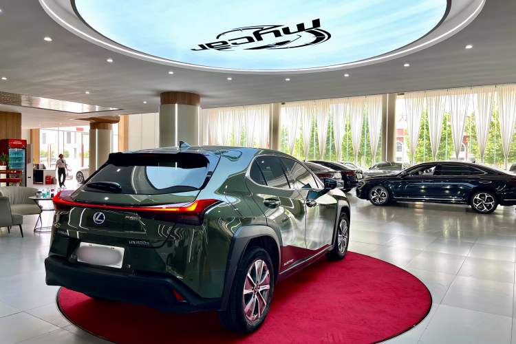 Used Lexus UX New Energy 2020 300e Pure·Joy Edition Exterior 7