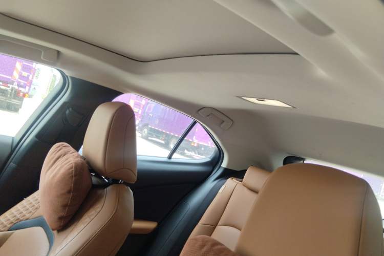 Used Lexus UX New Energy 2020 300e Pure·Enjoy Edition Headliner