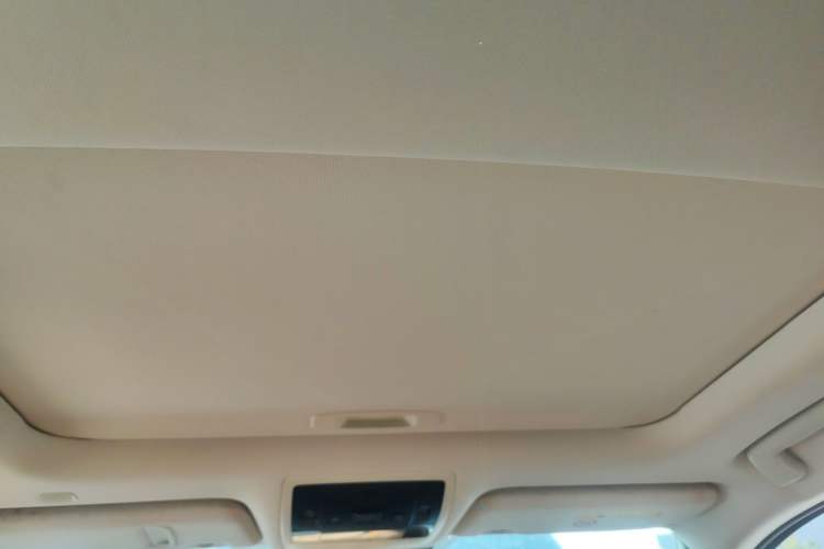 Used Lexus UX New Energy 2020 300e Pure·Joy Edition Headliner