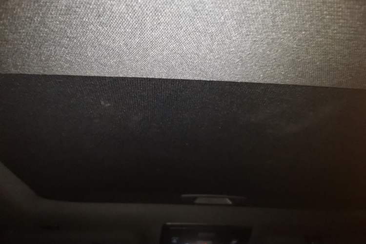 Used Lexus UX New Energy 2020 300e Pure·Joy Edition Headliner