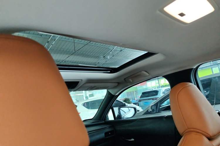 Used Lexus UX New Energy 2020 300e Pure·Joy Edition Headliner
