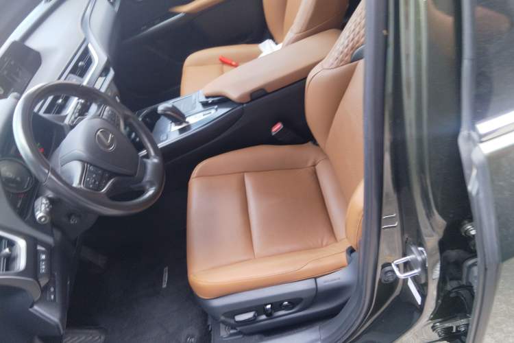 Used Lexus UX New Energy 2020 300e Pure·Enjoy Edition Left Front Seat
