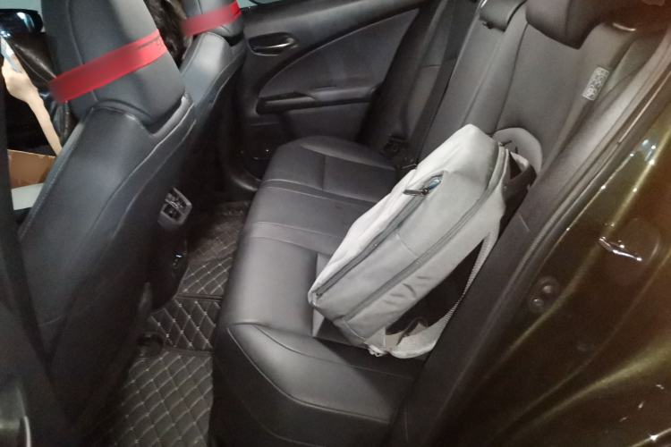 Used Lexus UX New Energy 2020 300e Pure·Joy Edition Left Rear Seat