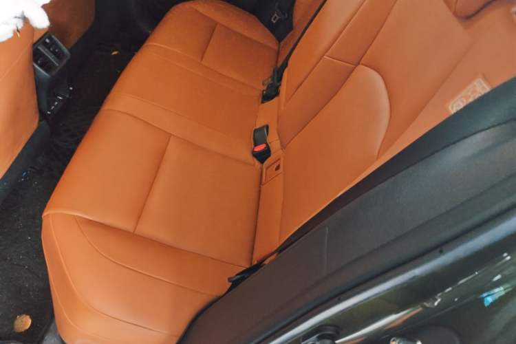 Used Lexus UX New Energy 2020 300e Pure·Joy Edition Left Rear Seat