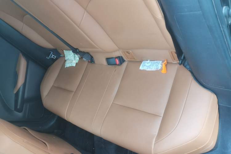 Used Lexus UX New Energy 2020 300e Pure·Joy Edition Left Rear Seat