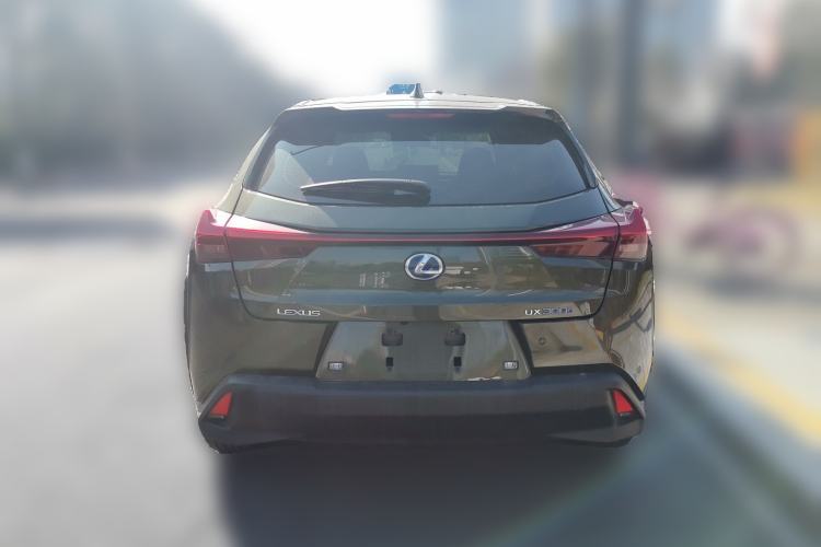 Used Lexus UX New Energy 2020 300e Pure·Joy Edition Rear