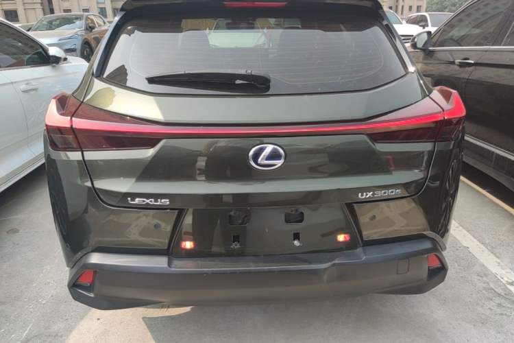 Used Lexus UX New Energy 2020 300e Pure·Enjoy Edition Rear
