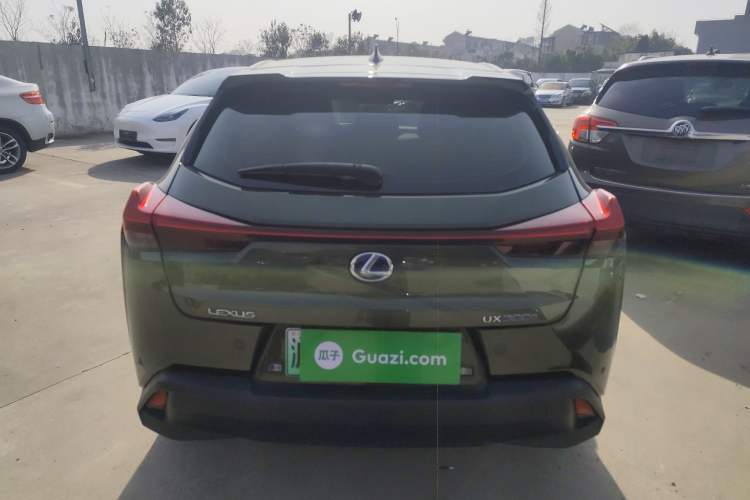 Used Lexus UX New Energy 2020 300e Pure·Joy Edition Rear