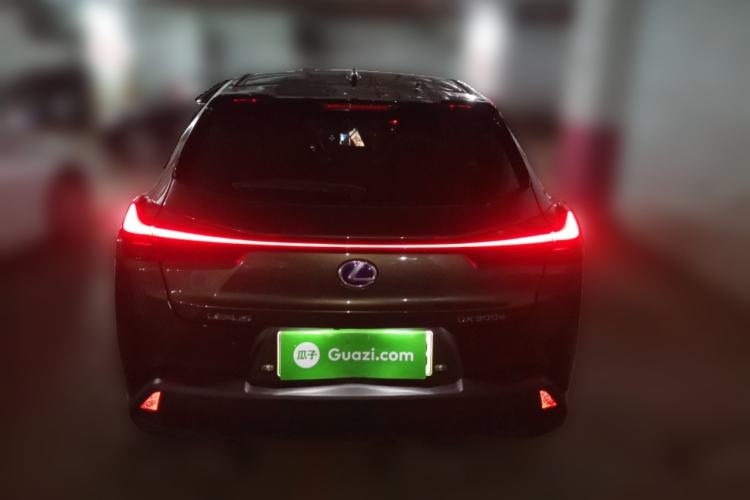 Used Lexus UX New Energy 2020 300e Pure·Joy Edition Rear
