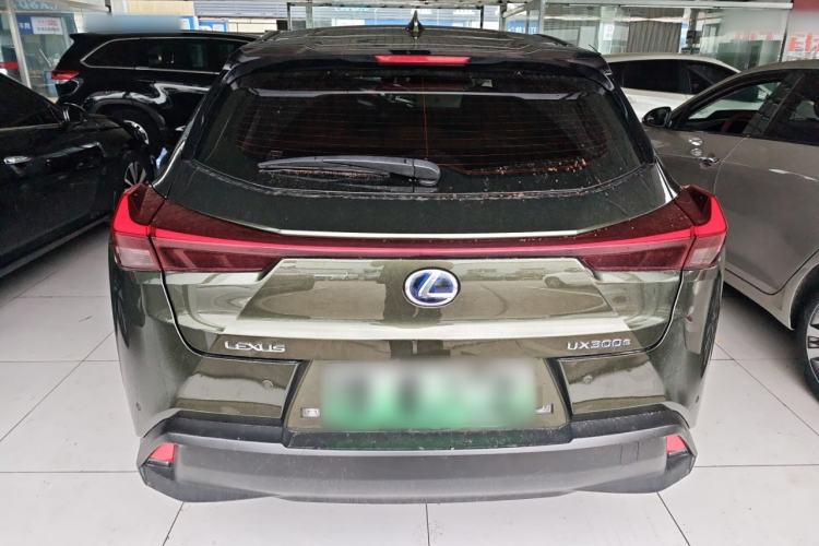 Used Lexus UX New Energy 2020 300e Pure·Joy Edition Rear