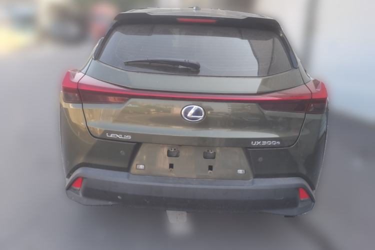 Used Lexus UX New Energy 2020 300e Pure·Joy Edition Rear