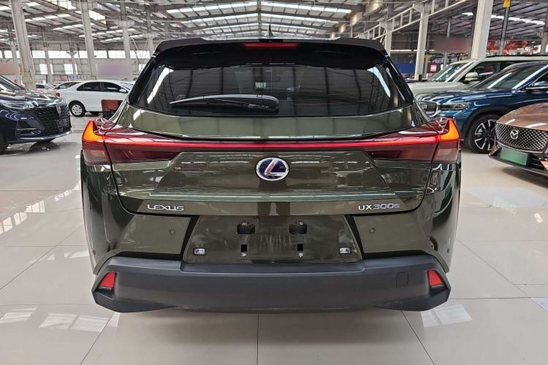 Used Lexus UX New Energy 2020 300e Pure·Joy Edition Rear