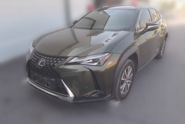 Used Lexus UX New Energy 2020 300e Pure·Joy Edition