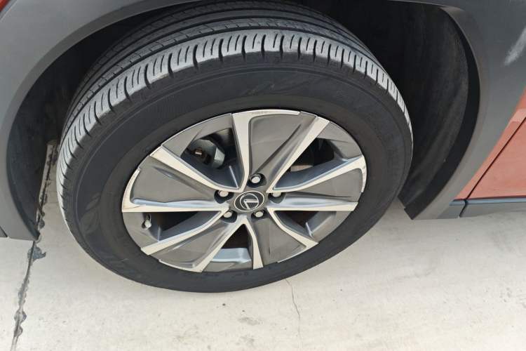 Used Lexus UX New Energy 2020 300e Pure·Joy Edition Exterior 5