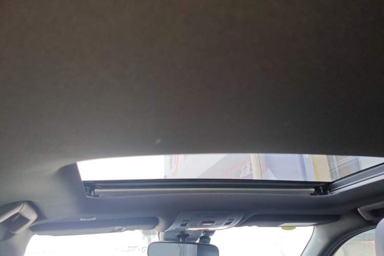 Used Lexus UX New Energy 2020 300e Pure·Joy Edition Headliner