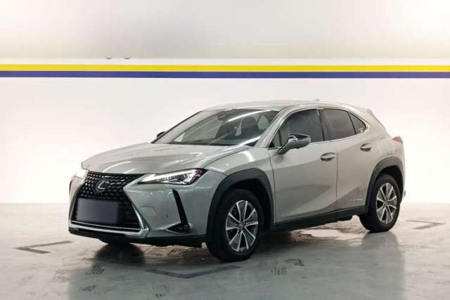 Used Lexus UX New Energy 2020 300e Pure·Joy Edition