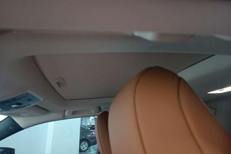 Used Lexus UX New Energy 2020 300e Pure·Joy Edition Headliner