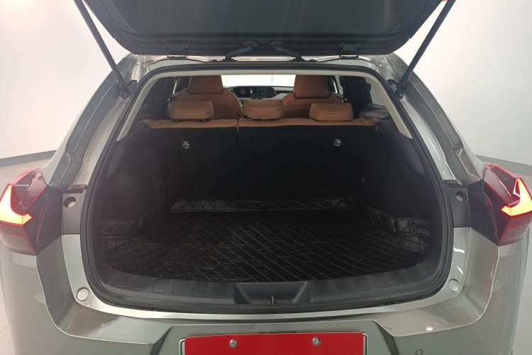 Used Lexus UX New Energy 2020 300e Pure·Joy Edition Trunk