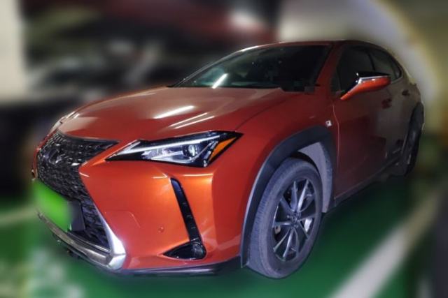 Used Lexus UX New Energy 2020 300e Pure·Joy Edition