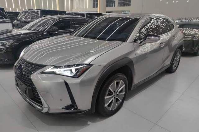 Used Lexus UX New Energy 2020 300e Pure·Joy Edition