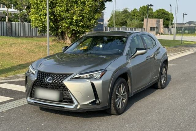Ojetý Lexus UX New Energy 2020 300e Pure·Joy Edition