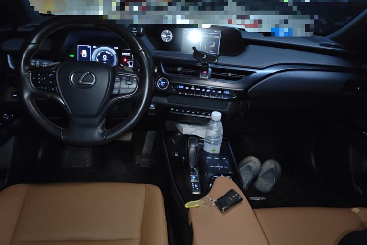 Used Lexus UX New Energy 2020 300e Pure·Joy Edition Center Console