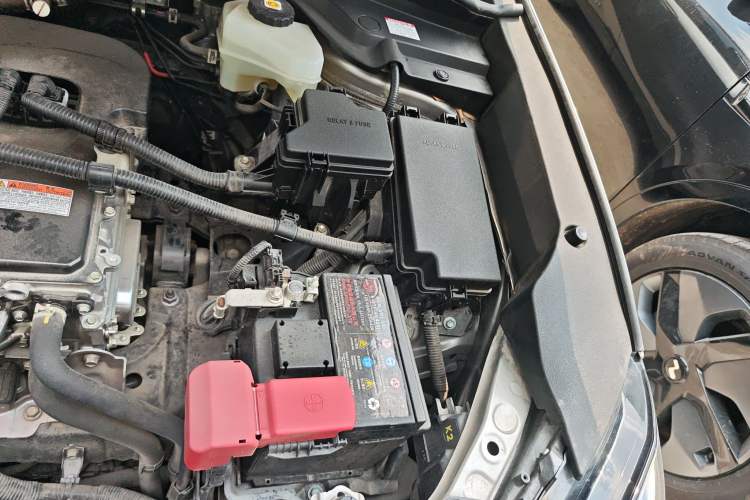 Used Lexus UX New Energy 2020 300e Pure·Joy Edition Engine Bay Left