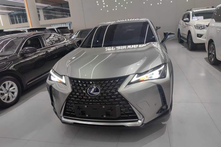Used Lexus UX New Energy 2020 300e Pure·Joy Edition Exterior 1