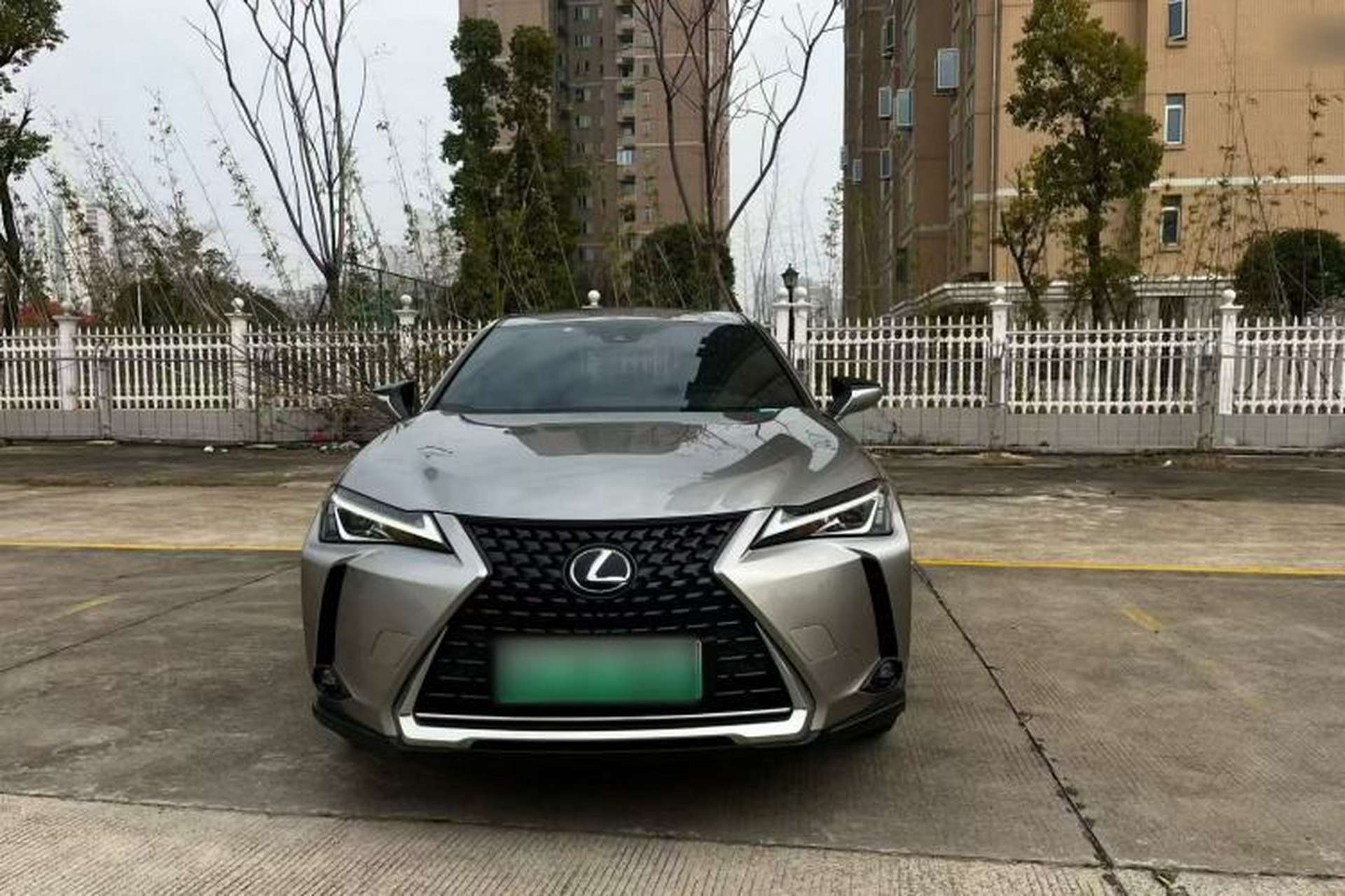 Used Lexus UX New Energy 2020 300e Pure·Joy Edition Exterior 1