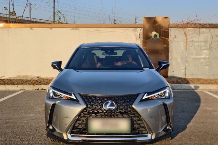 Used Lexus UX New Energy 2020 300e Pure·Joy Edition Exterior 1