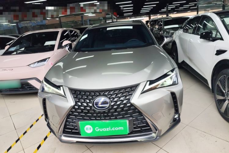 Used Lexus UX New Energy 2020 300e Pure·Joy Edition Exterior 1