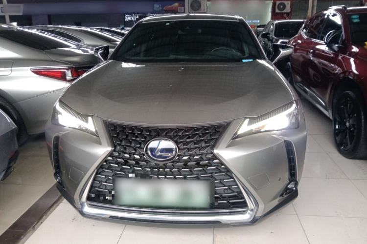 Used Lexus UX New Energy 2020 300e Pure·Joy Edition Exterior 1