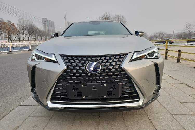 Used Lexus UX New Energy 2020 300e Pure·Joy Edition Exterior 1