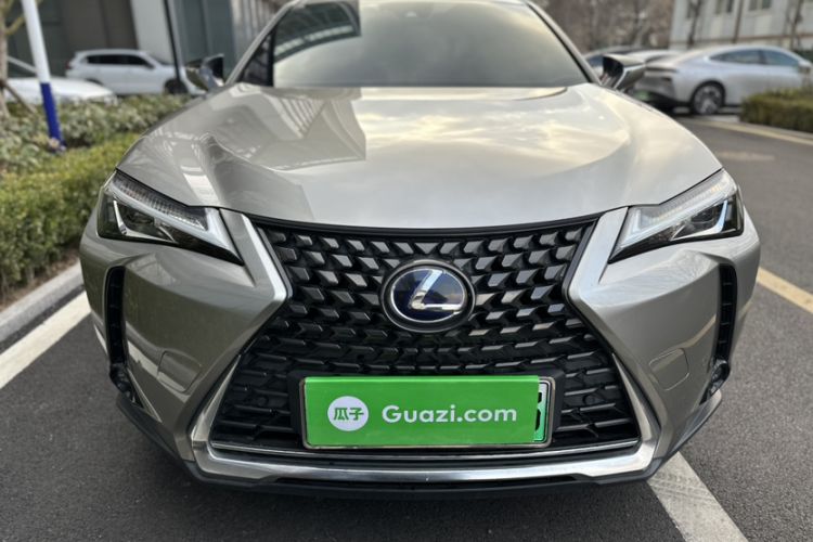 Used Lexus UX New Energy 2020 300e Pure·Joy Edition Exterior 2