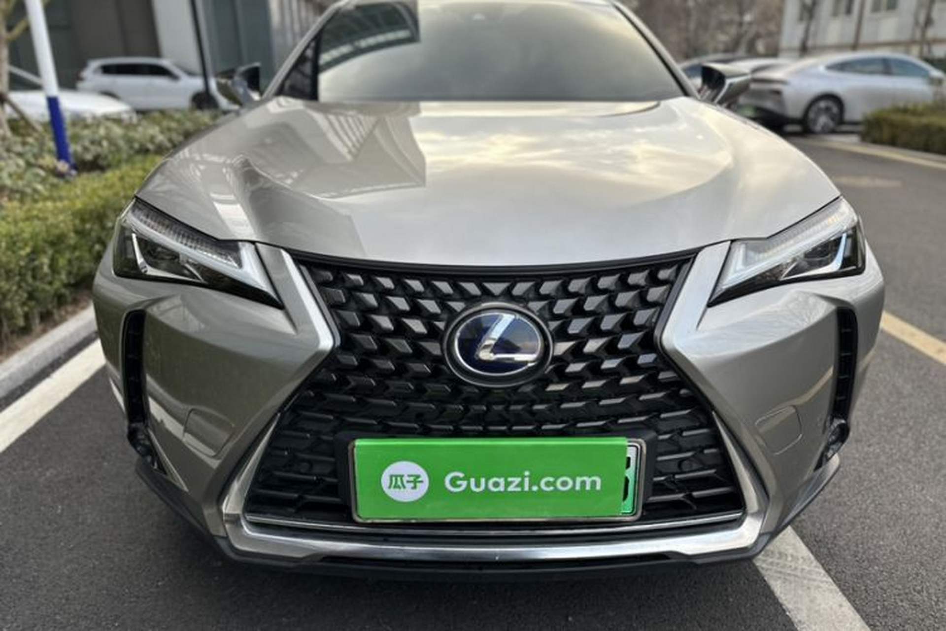 Used Lexus UX New Energy 2020 300e Pure·Joy Edition Exterior 2