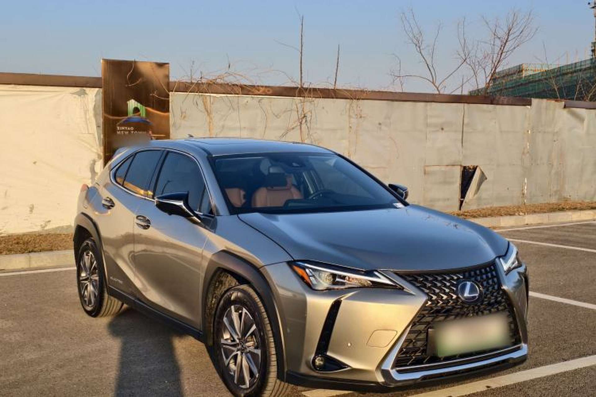 Used Lexus UX New Energy 2020 300e Pure·Joy Edition Exterior 3