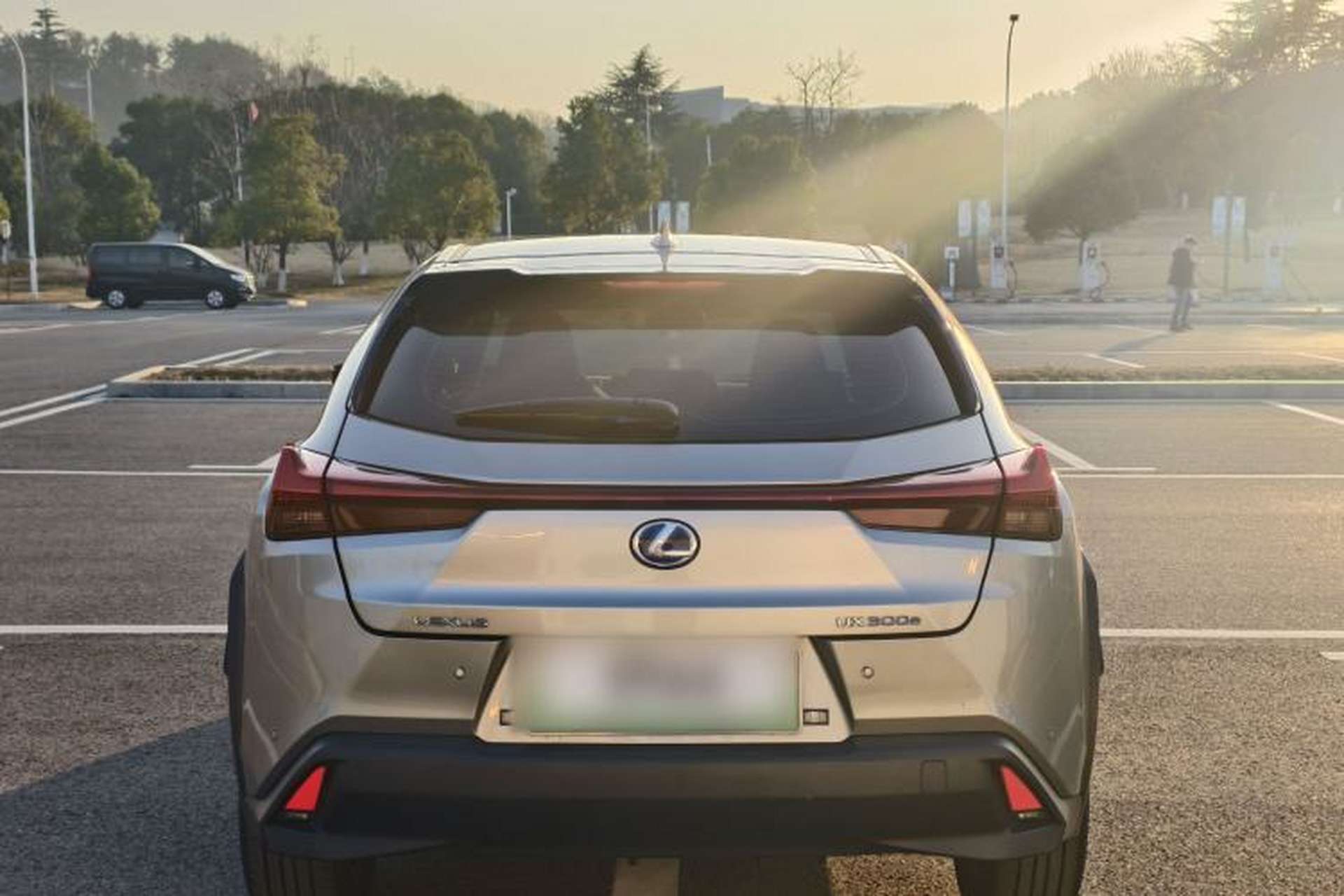Used Lexus UX New Energy 2020 300e Pure·Joy Edition Exterior 4