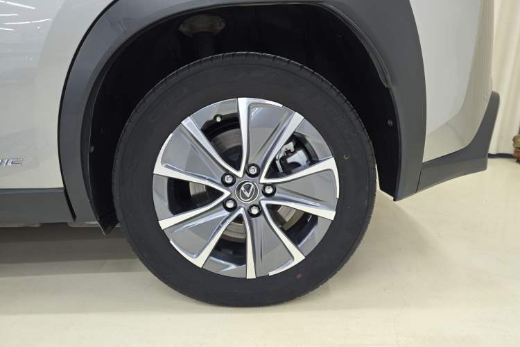 Used Lexus UX New Energy 2020 300e Pure·Joy Edition Exterior 4