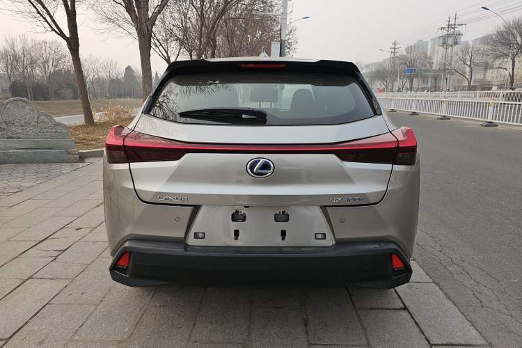 Used Lexus UX New Energy 2020 300e Pure·Joy Edition Exterior 5