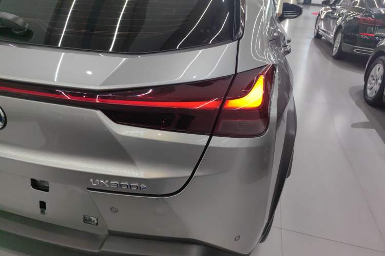 Used Lexus UX New Energy 2020 300e Pure·Joy Edition Exterior 6