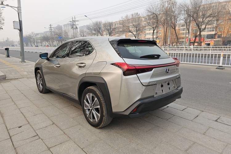 Used Lexus UX New Energy 2020 300e Pure·Joy Edition Exterior 6