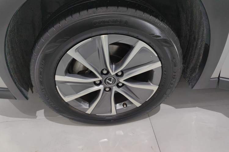 Used Lexus UX New Energy 2020 300e Pure·Joy Edition Exterior 7