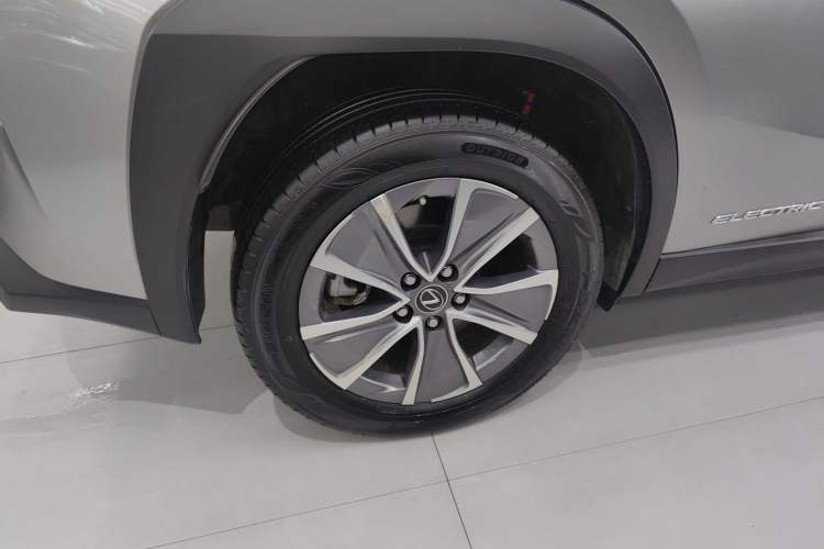 Used Lexus UX New Energy 2020 300e Pure·Joy Edition Exterior 8