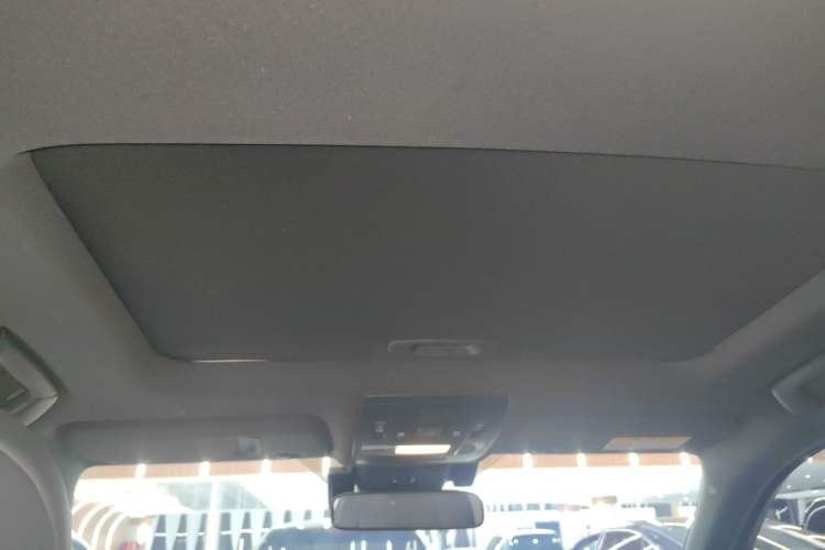 Used Lexus UX New Energy 2020 300e Pure·Joy Edition Headliner