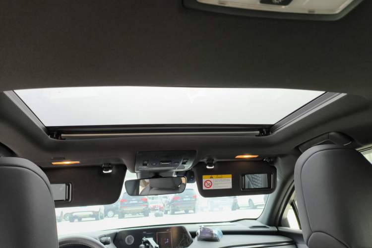Used Lexus UX New Energy 2020 300e Pure·Enjoy Edition Headliner