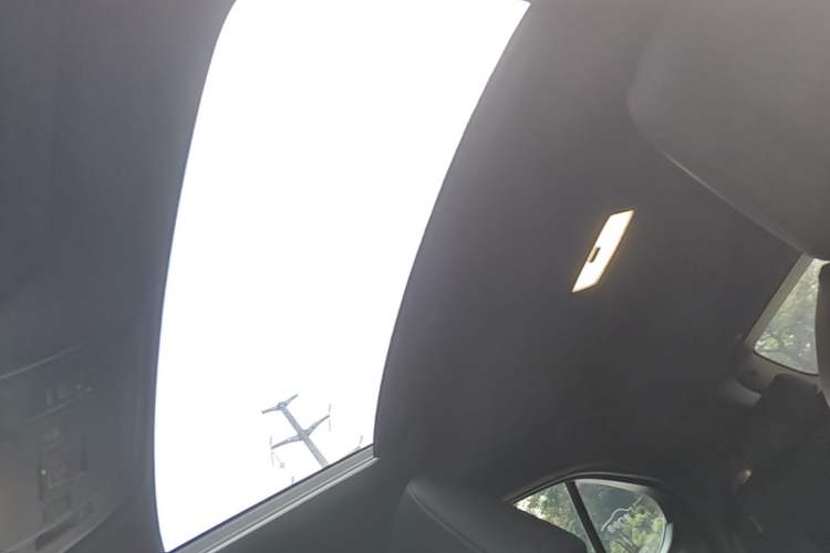 Used Lexus UX New Energy 2020 300e Pure·Enjoy Edition Headliner
