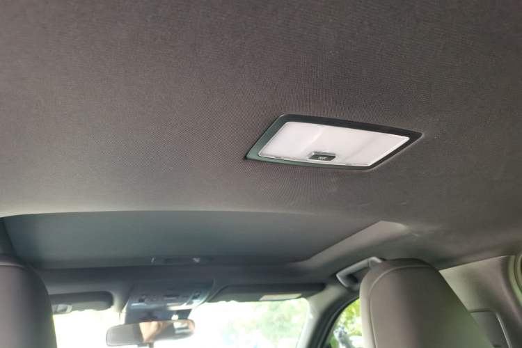 Used Lexus UX New Energy 2020 300e Pure·Joy Edition Headliner