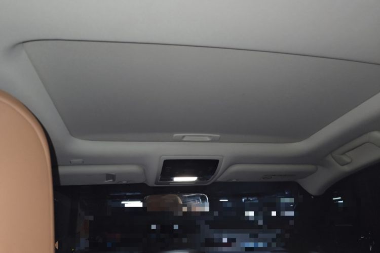 Used Lexus UX New Energy 2020 300e Pure·Joy Edition Headliner